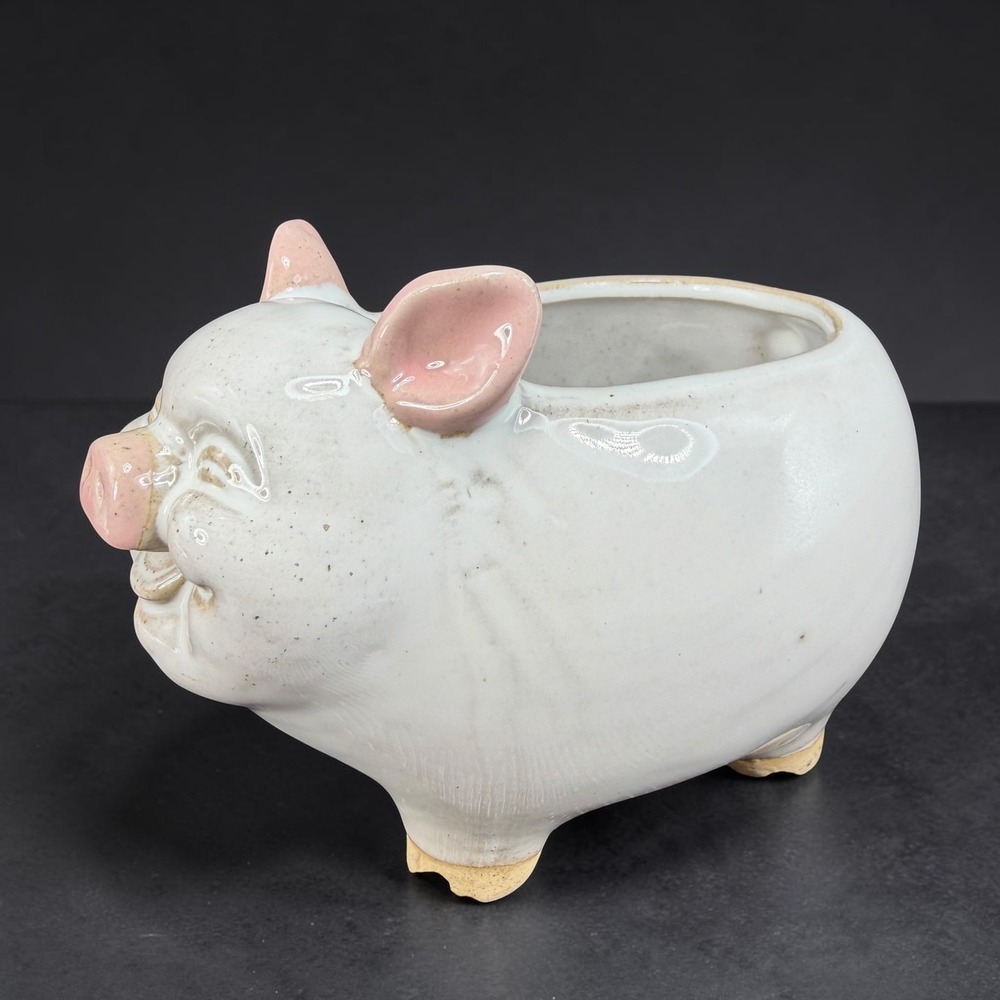 Smiling Ceramic Pig Planter White Pink Indoor Succulent Pot Drainage Hole 6x4